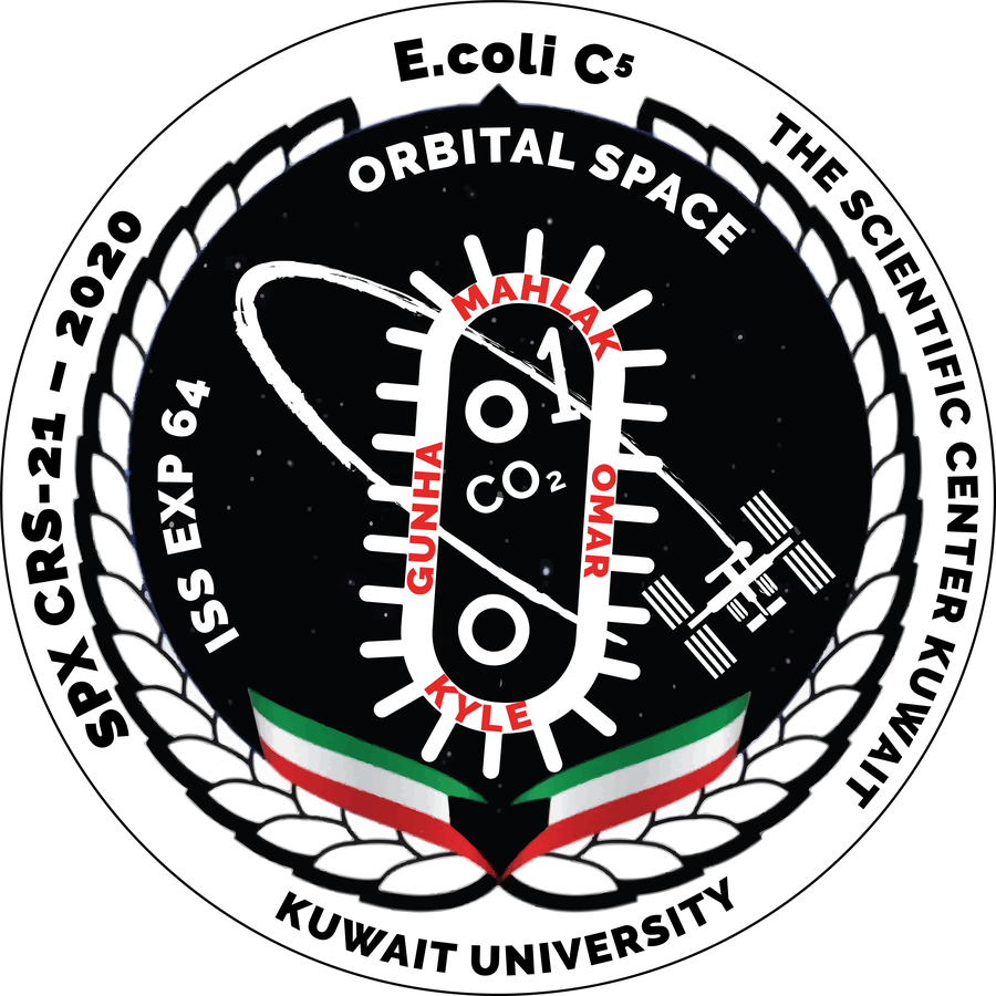 Experiment in Space mission patch